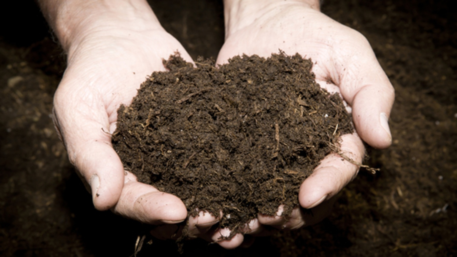 Clearfield Production System for OSR and Sunflower Stewardship Instructions